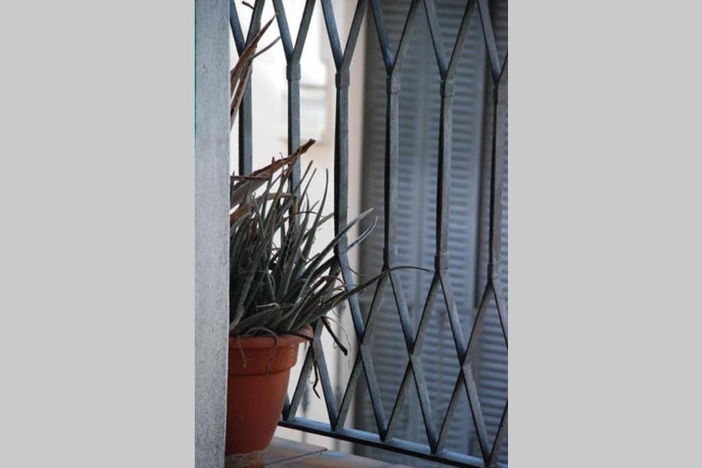 Apartamento Centro Encarnacion 2º I Apartment Sevilla Exterior foto